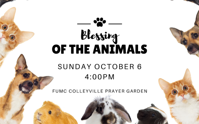 Blessing of the Animals