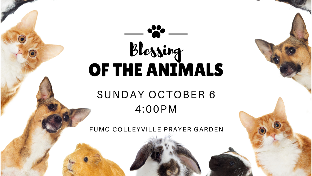 Blessing of the Animals